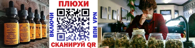 Canna-Cookies марихуана  Шахты 