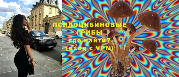 mdpv Армянск