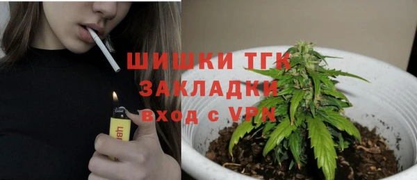 круглые Алзамай
