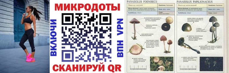 Галлюциногенные грибы мухоморы Шахты